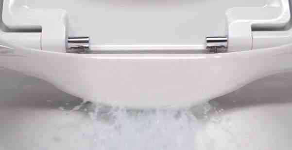 Wc senza brida: cosa sapere?